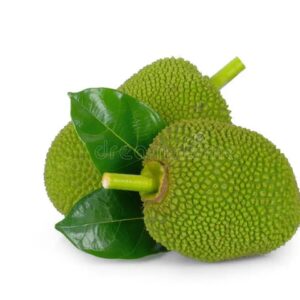 Baby Green Jack fruit