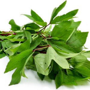 Leaves Gongura