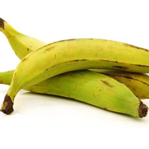 Banana Plantain