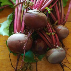 Beet Root
