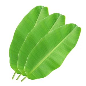 Banana Leaves