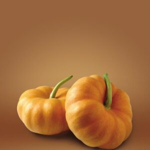 Squash Kadu (Pumpkin)CA/MX