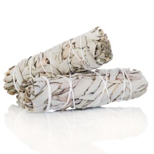 California white sage bundle 3”-4”