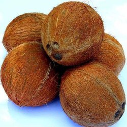 Coconut Pooja small