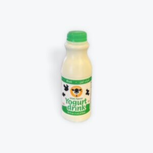 Karoun Yogurt Drink Mint 1pt