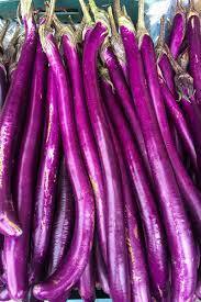 Long Eggplant